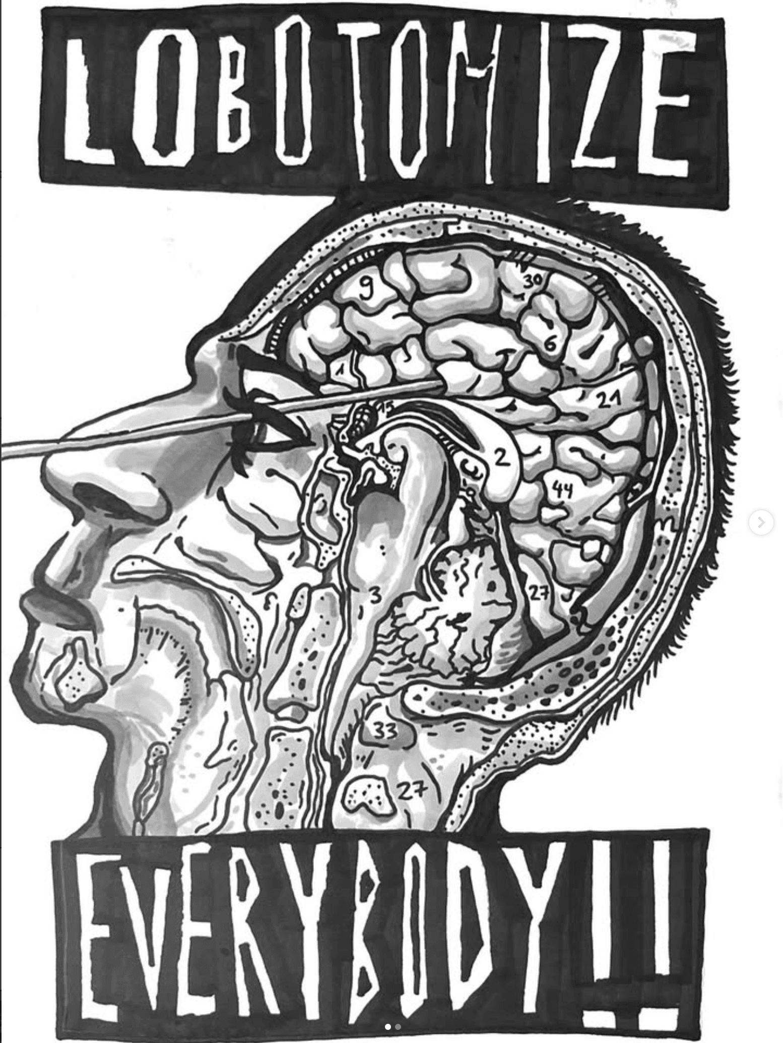 Anatomische Kopfzeichnung mit Schrift